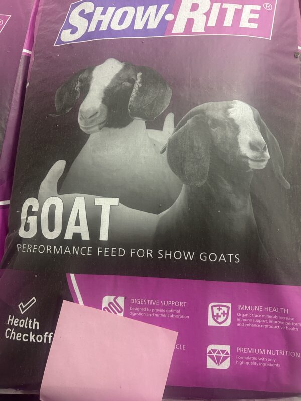 Goat And Sheep - Image 2