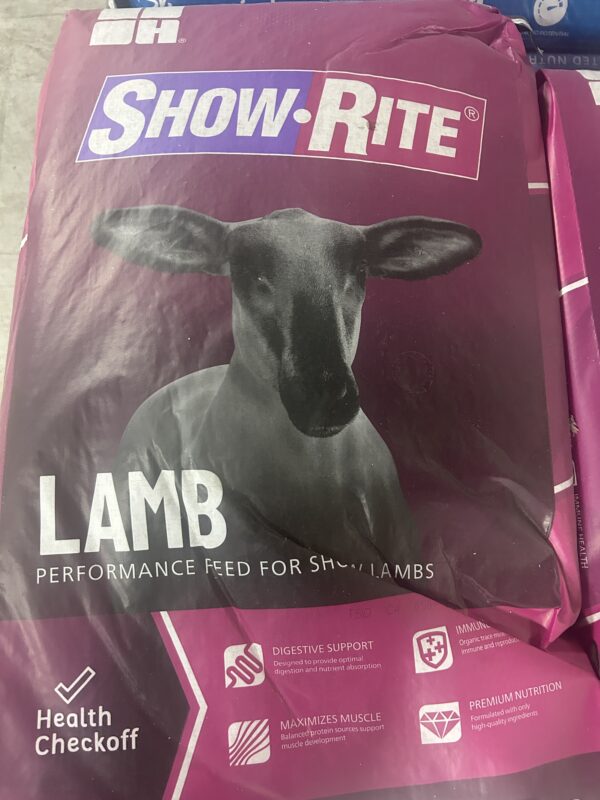 Goat And Sheep