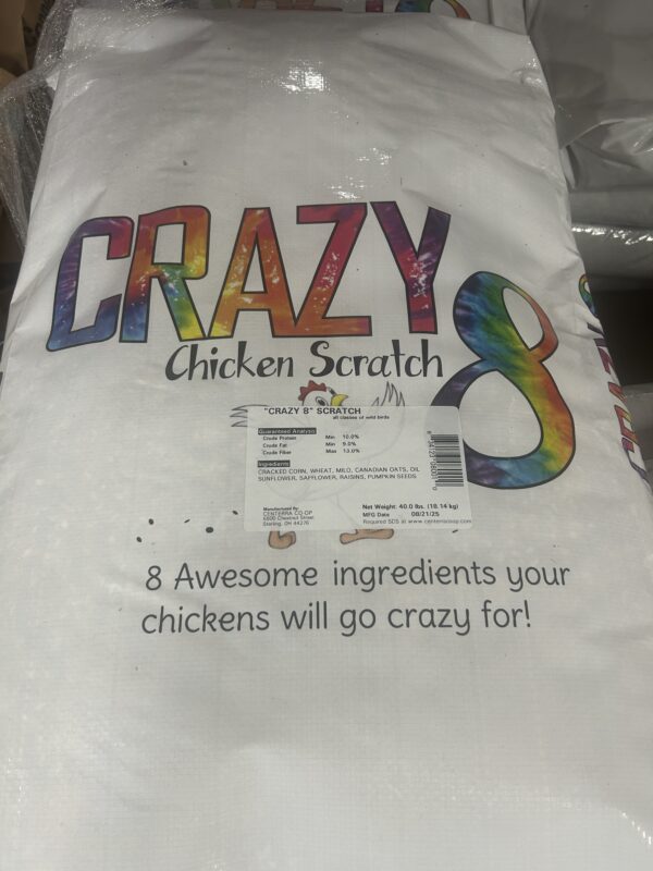 Crazy 8 Scratch