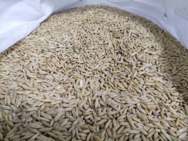 Cleaned Oats
